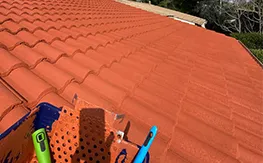 peinture-sur-toiture-69-rhone